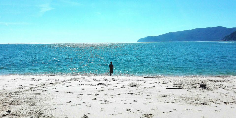 Sesimbra e Arrábida Natural Park: 1 Day Tour & Wine Tasting - Key moments you’ll likely remember