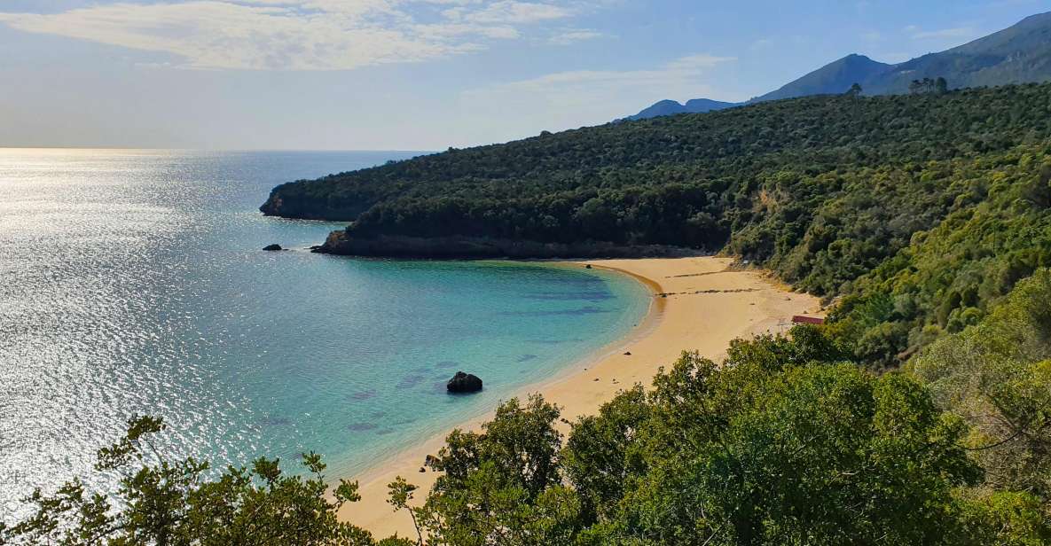 Sesimbra e Arrábida Natural Park: 1 Day Tour & Wine Tasting - Sesimbra fishing village and the Moorish Castle: a town you can actually feel