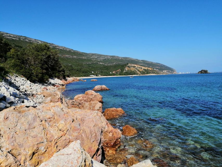 Sesimbra e Arrábida Natural Park: 1 Day Tour & Wine Tasting - Arrábida Natural Park: wildlife, viewpoints, and controlled access