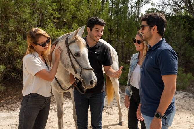Setubal & Comporta Trip with Horseback Riding from Lisbon - Entering Setúbal, Troia, and Comporta in one half-day