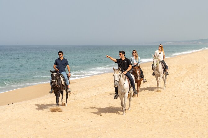 Setubal & Comporta Trip with Horseback Riding from Lisbon - The schedule feels tight, but it’s built to work