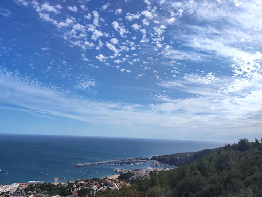 Setúbal, Nature&Culture, between Castles,Beaches, Mountains - Setúbal wine and lunch break: plan your meal like a local