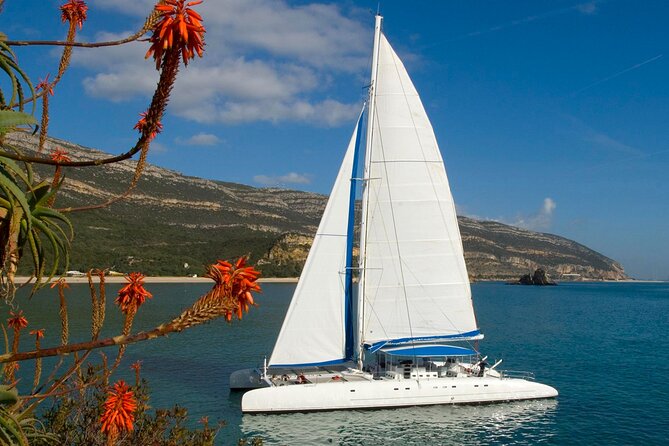 Setúbal Private Tour - Including Dolphin Watching - Should you book it?