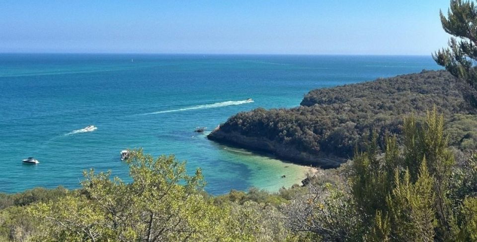 Setúbal Tour, Mountains & Sea, w/ Wine Tasting! FROM LISBON - How the 8 Hours Really Feel (and Who It’s Best For)