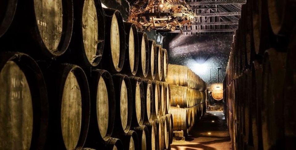 Setúbal Tour, Mountains & Sea, w/ Wine Tasting! FROM LISBON - What About the Organization Risk?