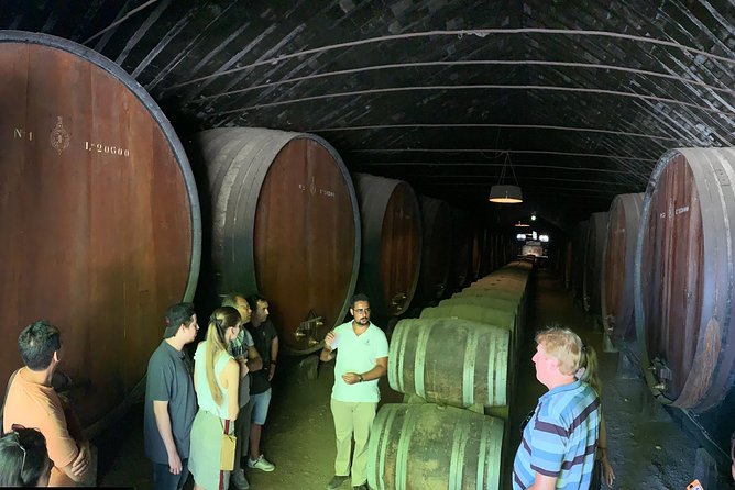 Setúbal Wine Tour with Visit and Tasting at 2 Wineries - Bacalhoa in Azeitão: modern design in a historic wine region