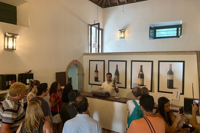 Setúbal Wine Tour with Visit and Tasting at 2 Wineries - Guides and group size: where the tour really gets its personality