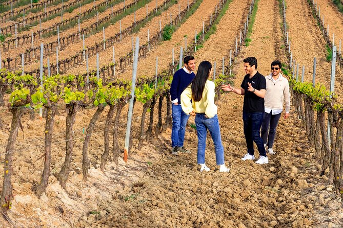 Setúbal: Winery & Fish Market Tasting Tour from Lisbon - Four Tastings: Two Whites, Two Reds, and How to Use Them