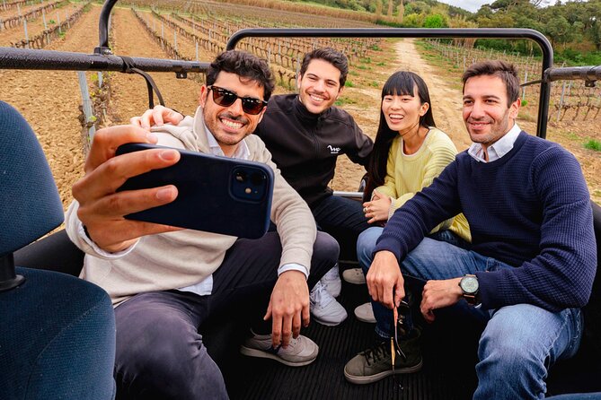 Setúbal: Winery & Fish Market Tasting Tour from Lisbon - Mercado do Livramento: Local Food Meets a Glass of Wine