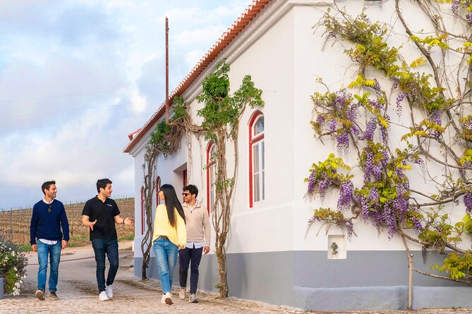 Setúbal: Winery & Fish Market Tasting Tour from Lisbon - Price and Logistics: Is $155.76 Good Value?