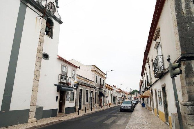 Setubal Winery Private Tour including Lunch at Sesimbra Beach - Three Wine Stops Around the Setúbal Peninsula (Plus Tastings That Teach)