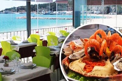 Setubal Winery Private Tour including Lunch at Sesimbra Beach - 9am Pickup to About 5pm Return: Timing That Shapes the Day
