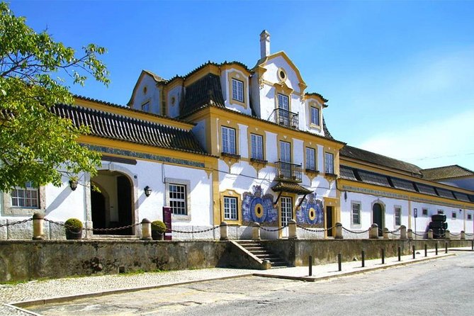 Setubal Winery Private Tour including Lunch at Sesimbra Beach - Sesimbra Beach Lunch: Seafood Break With Real Coastal Energy