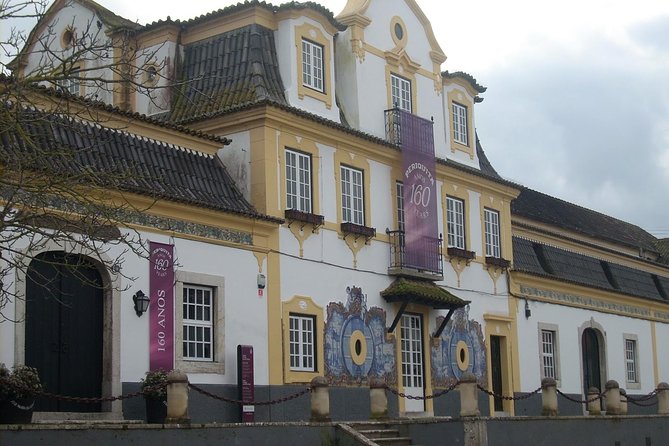 Setubal Winery Private Tour including Lunch at Sesimbra Beach - The Guide Makes It: Anna’s On-Point Wine Explanations