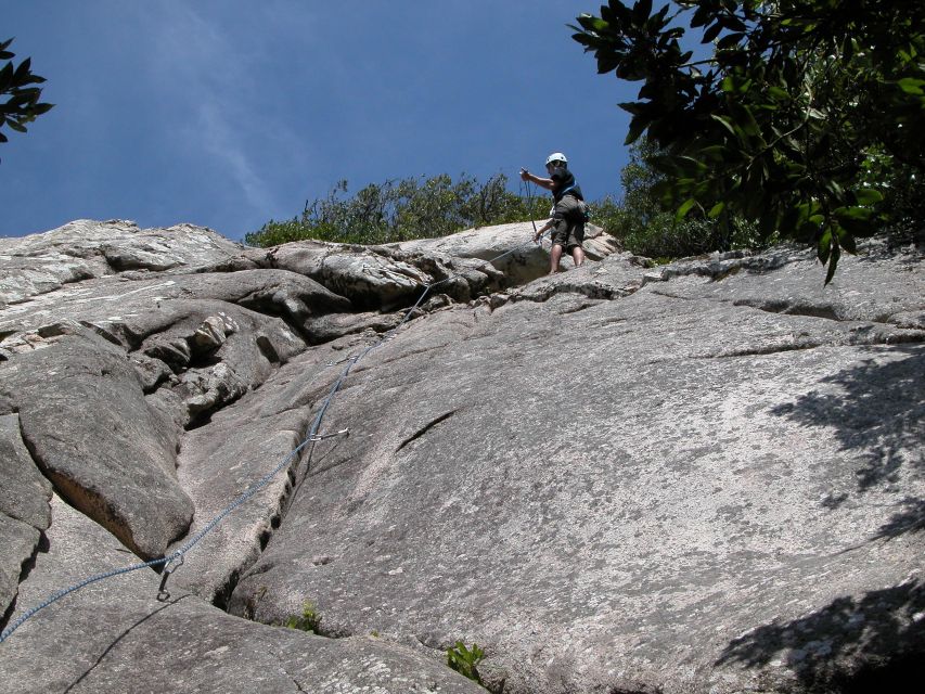 Sintra: 3.5-Hour Rock Climbing Experience - Meeting at Palácio Nacional de Sintra and the Woods Walk