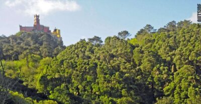 Sintra: 3.5-Hour Rock Climbing Experience - Gear, Safety, and Getting on the Wall Fast