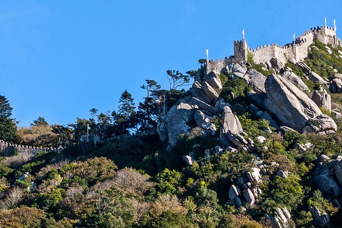 Sintra ALL PALACES - small groups (2-6pax) PRIVATE TOUR - Stop 1: Park and National Palace of Pena
