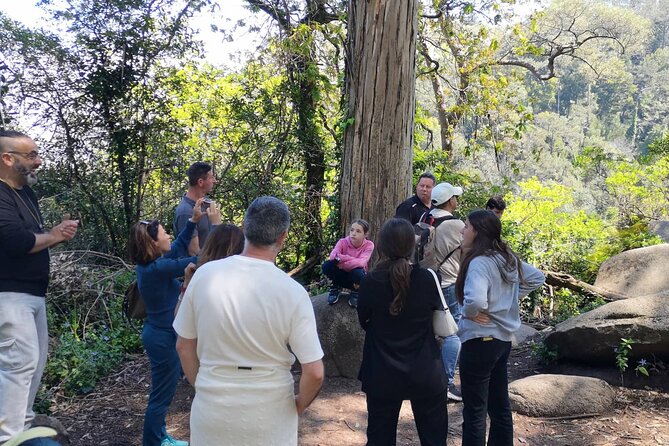 Sintra ALL PALACES - small groups (2-6pax) PRIVATE TOUR - How the guide keeps the day flexible when reality hits