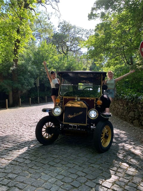 Sintra: All Palaces Tour 2.5 hs - Stop-by-Stop Palaces Plan: Lookouts, Guided Time, and Optional Entries