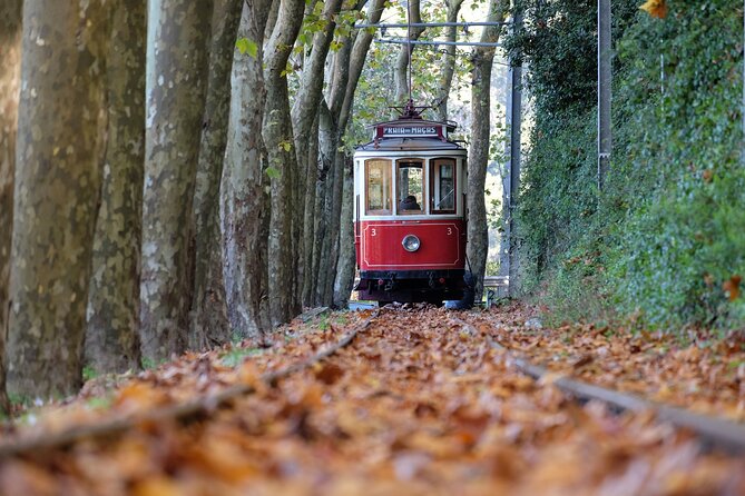 Sintra and Cascais Small Group Full-Day Tour from Lisbon - Pena Palace: Romantic Color and the 19th-Century Wow Factor