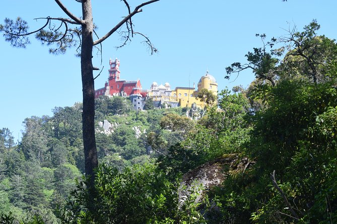 Sintra and Cascais with a Local Guide - Group tour starting from Sintra - Group tour size and why your guide matters here