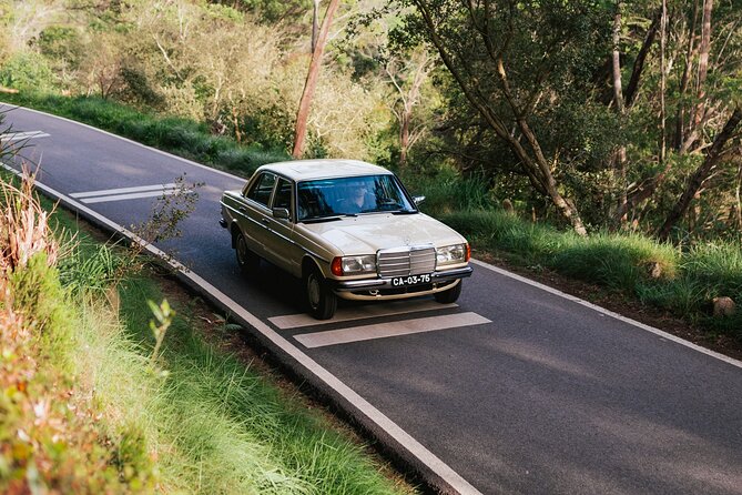 Sintra & Cascais Full Day - Private Tour in Classic Car - Sintra Old Town Walk and the Pastries You Shouldn’t Skip