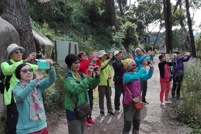 Sintra Full-Day: Pena, Moorish Castle & Regaleira with Tickets - Sintra’s historic center: where free time actually helps