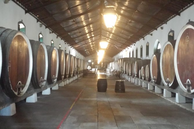 Sintra Full Day Private Wine Experience with Tastings from Lisbon - Sintra UNESCO: National Palace area, fountains, and quick wandering time