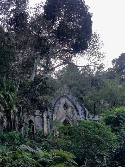 Sintra Highlights: Private Local Tour - Palaces & Views - From the hills: choosing Pena, Quinta da Regaleira, Monserrate, or a smarter mix