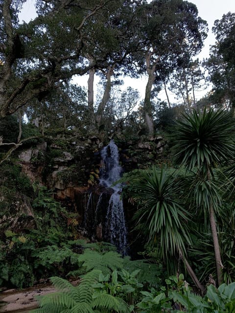 Sintra Highlights: Private Local Tour - Palaces & Views - Comfort and timing: how the vehicle reduces stress