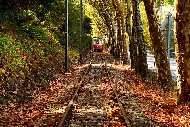 Sintra Jeep Adventure – Wine, Food & Freedom - Peninha Sanctuary: views at 488 meters and a 16th-century story