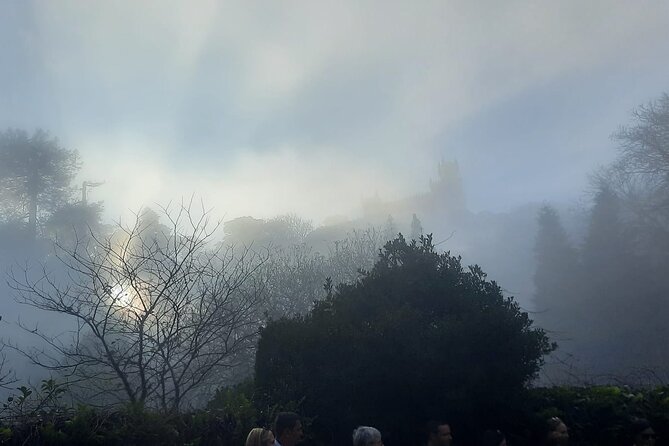 Sintra Palaces and Forest Private Tour - Sintra National Palace and the quick panoramic context