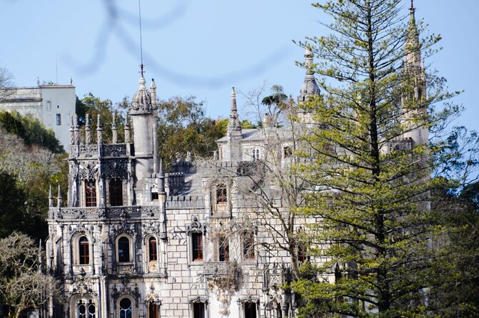 Sintra Palaces and Forest Private Tour - Quinta da Regaleira: the initiatory well and the garden meanings