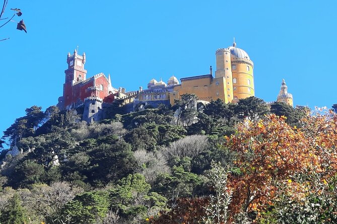 Sintra Palaces and Forest Private Tour - Monserrate Palace: a short stop that changes your mental mood