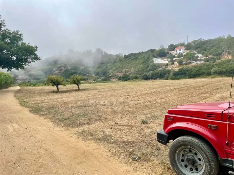 Sintra: Private Full-Day Sintra, Roca, and Cascais 4x4 Tour - Pena Palace time: how to get the best views without palace chaos