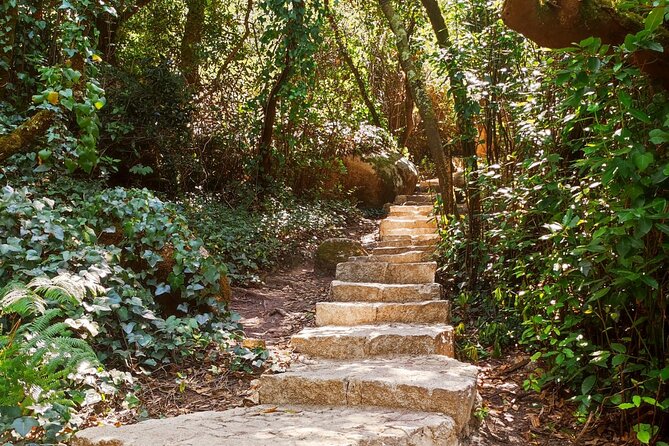 Sintra Private Hiking Adventure Tour - Why this Sintra private hike is the smart way to see more