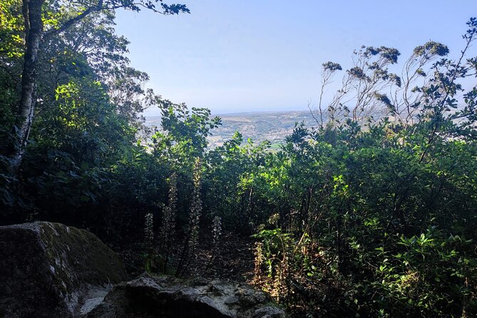 Sintra Private Hiking Adventure Tour - Miradouro Santa Eufemia: summit views and a group photo moment