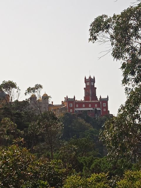 Sintra : Romantic Sintra and Lisbon Coast - Historic Center of Sintra: The 1-Hour Window for Sweets and Shopping