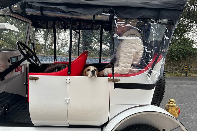 Sintra Tour by Electric Tuk Tuk - Stop 2: Palácio e Parque Biester for a Scenic Look