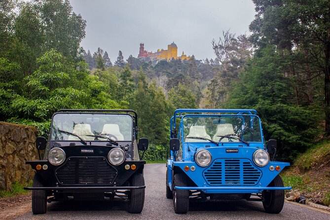 Sintra Tuk Tuk (Electric) 4-5 hours tour - Stop 5: Quinta da Regaleira and the Iniciatic Well in the gardens
