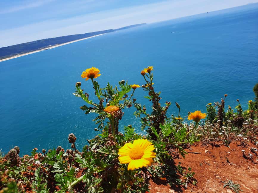 Small Group Excursion to Nazaré, Alcobaça and Obidos from Lisbon - Small-group comfort: the van details that matter on a long day