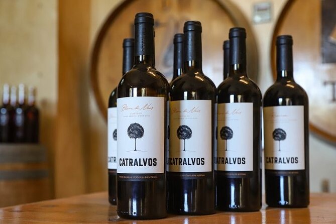 Small Group Full-Day Arrábida Wine Tour and Food Tasting - Key things I’d watch for before you book