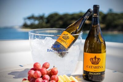 Small Group Full-Day Arrábida Wine Tour and Food Tasting - Mercado do Livramento in Setúbal: eat like you mean it
