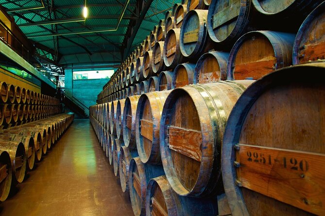Small Group Full-Day Arrábida Wine Tour and Food Tasting - What the $135.85 price buys you (and what it doesn’t)