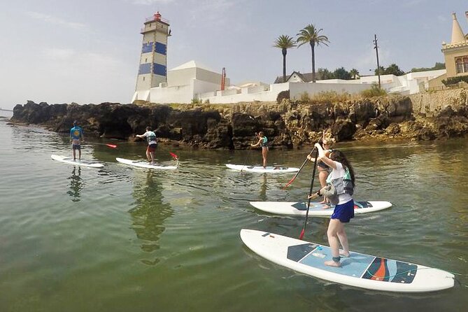 Stand Up Paddle Boarding Lesson of Cascais Bay - Your Stop in Cascais: Exploring the Bay With Guidance