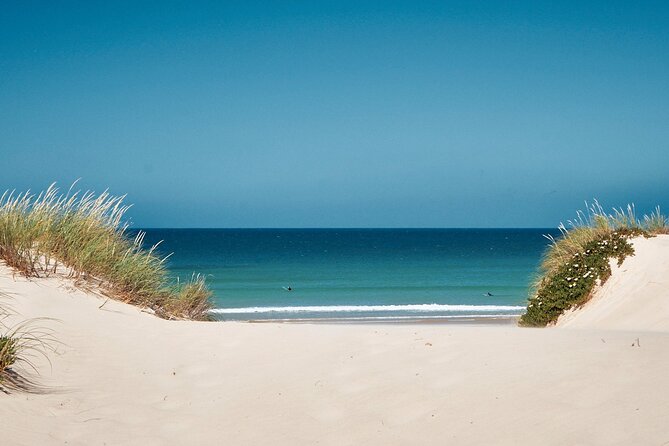 Surf Courses In Peniche and Baleal Portugal - Key highlights worth caring about