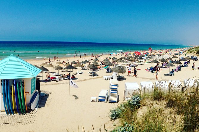 Surf & Friends - Costa da Caparica - Where to eat: local-feeling restaurant picks for fresh fish