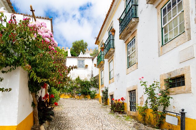 Three Cities in One Day: Porto, Nazare and Obidos from Lisbon - Porto on a Tight Schedule: Lunch Time and the Walking Tour Plan