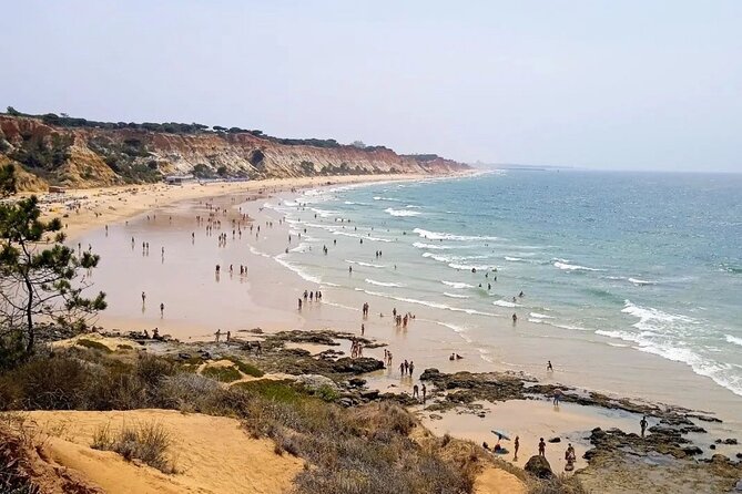 Transport from Lisbon/Algarve, Algarve/Lisbon 1 stop Alentejo - Price and value: paying for time, privacy, and fewer headaches