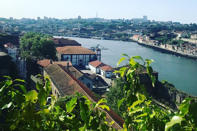 Transport Lisbon/Porto Porto/Lisbon with 2 optional stops - Your Two Stop Options: How to Choose Between Óbidos, Nazaré, Fátima, and Aveiro